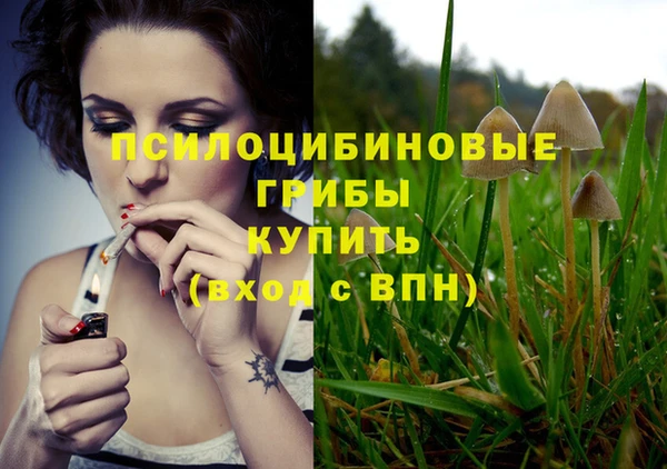 ALPHA-PVP Вязьма