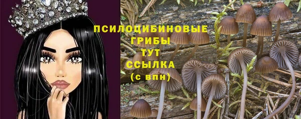 гашиш Горнозаводск