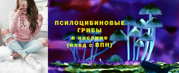 меф Гусев