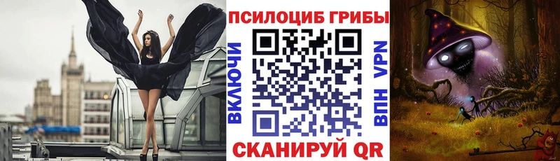 Купить Кольчугино Галлюциногенные грибы Psilocybe